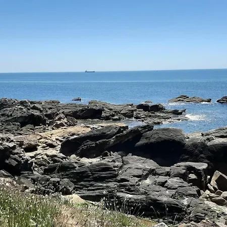 Terr'ocean
