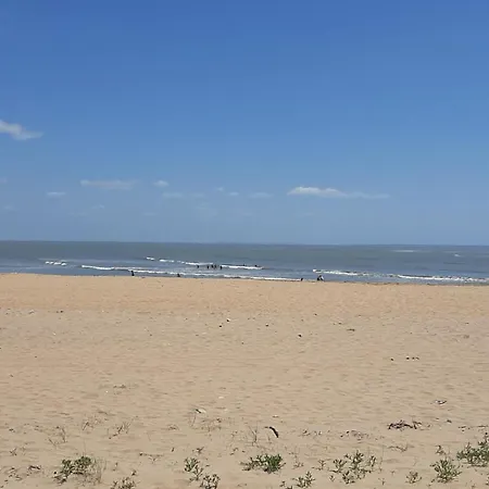 Terr'océan *